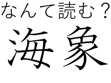 いわれてみるとちょっと似ている！難読漢字クイズ「海象」はなんて読む？