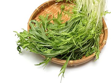 野菜のプロが解説!水菜をスーパーで買うときにおいしいものを見分けるコツとは?