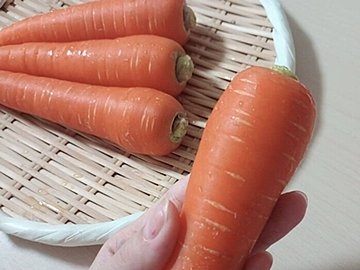 野菜のプロが解説!にんじんをスーパーで買うときにおいしいものを見分けるコツとは?