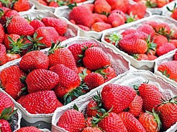 野菜のプロが解説!イチゴをスーパーで買うときにおいしいものを見分けるコツとは?