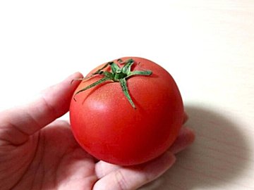 トマトは冷蔵保存ではなくむしろ冷凍すべき!その理由と活用法を野菜ソムリエが解説