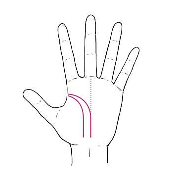 当たりすぎて怖いと話題の手相術!手相でわかる「性欲の強さ」性欲コントロールのコツも教えます!