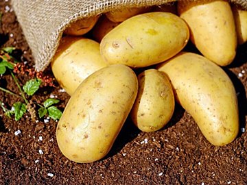 じつは避けた方がいいかも!?野菜のプロが教えるじゃがいもの「もったいない」食べ方3選