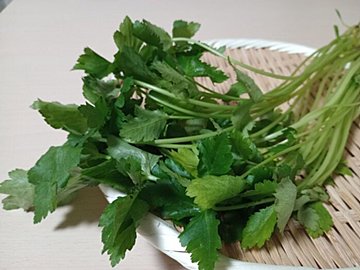 野菜ソムリエ直伝!じつは相性はバッチリな「豚バラ」と「三つ葉」!塩だけでモリモリ食べられる即完成の肉おかず