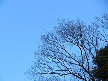 サンキュ!がなければ死んでいたかも……生きる許しを得るためのライター活動