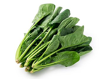 【旬食材】ほうれん草のゆで方あってる?ほうれん草が主役のおすすめレシピ2選
