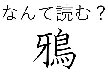 【難読漢字クイズ】かしこいけれどちょっと迷惑!?「鴉」はなんて読む?