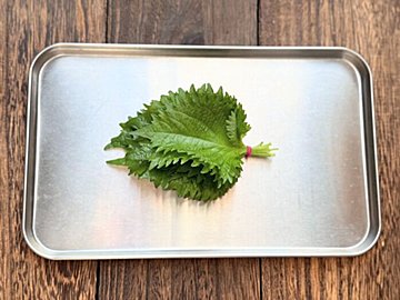 大葉が1週間以上シャキッと長持ちできる超簡単な方法を試してみた