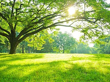 上を向くだけでも効果あり!「自律神経」を整えて快適に暮らす5つの行動