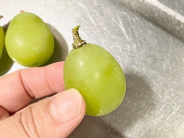 凍らせたシャインマスカットの美味しい食べ方を教えます|色も食感もキープするには?
