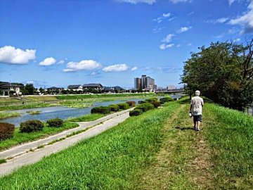 歩くことは健康維持のためには必要だけど夏は暑すぎて散歩どころじゃないんだけど、どうすればいい?「散歩ガイド」が教える真夏の外出のコツ
