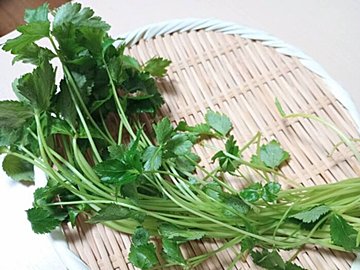 やらなきゃもったいない!香りと酸味が春の体にうれしい三つ葉の簡単薬膳スープを野菜ソムリエが紹介
