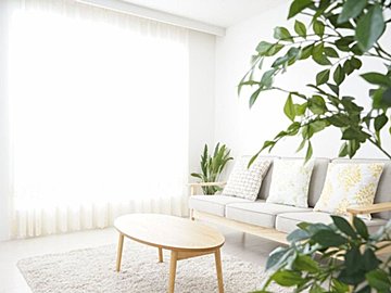自動で捨てられる!20年の取材経験から導き出した「考えずにサクサク捨てられるリスト」大公開