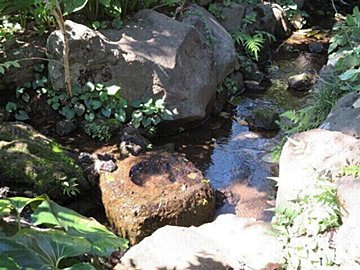 この夏は蚊を家に持ち込まない!刺されない!注意したい場所と時間帯