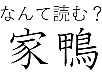 おもちゃの中から見つかるかも！難読漢字「家鴨」はなんて読む？