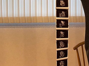 なが~いエコー写真にびっくり!妊婦の気持ちに寄り添い連写する産婦人科先生に感動の声と6.1万件のいいね