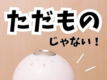 ただものじゃない!【キャンドゥ・ダイソー】「即買い!」「便利なキッチングッズ」おすすめアイテム4選