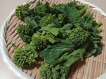 野菜のプロが解説!スーパーで菜の花を買うときにおいしいものを見分けるコツとは?