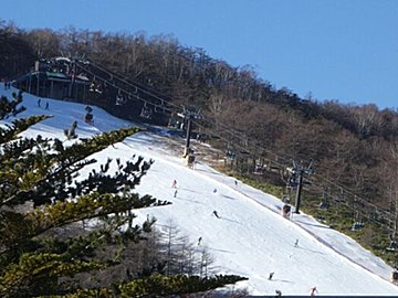 スキー場だけじゃなかった!誰もが無関係じゃない意外な「暖冬の影響」を気象予報士が解説