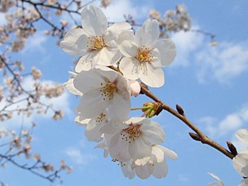 不安や自信のなさは自律神経の乱れのせい?自律神経を整えるコツを医師が解説