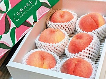 売却益・配当金・優待・NISA非課税の一石四鳥の優待株を狙えば生活が潤う!株主優待歴14年のFPのオススメ銘柄