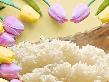 お米を健康的に節約する春の薬膳の知恵