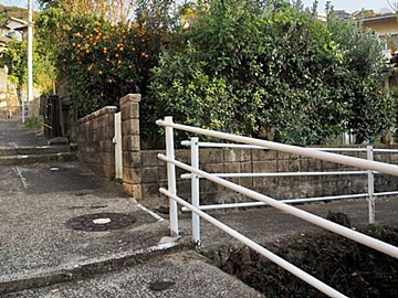 あなたは猫を何匹見つけられる?撮影者本人も「よく見たらめっちゃいた」と話題の写真。目を凝らして数える人続出!