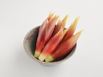 旬の「みょうが」スーパーで買うときにおいしいものを見分けるコツとは?