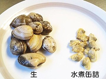 あさりを食べるなら“缶詰”がこんなに優秀◎手軽で長持ちなだけではなく、じつは栄養たっぷり食材だった!