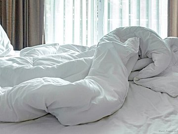 繁殖期間近!ダニ対策のための寝具のお手入れ方法