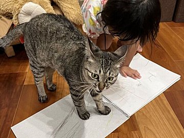 「邪魔しないで!」4才娘と猫のツーショットを撮影している飼い主に向けられたイカ耳!怒っている理由とは
