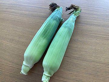 旬のとうもろこしでやっちゃダメ!旨味&栄養を逃がさない「おいしい食べ方&見分け方」を解説