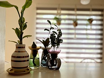 思い切ってやめると楽になる!40歳過ぎたら減らすべき家事をプロが解説
