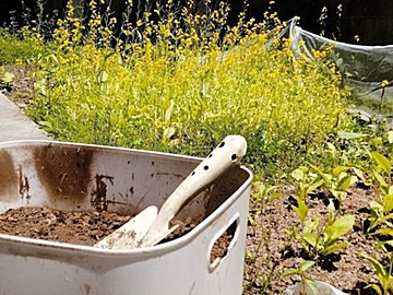 エコな暮らしは続いている?昨夏に始めた自家製生ごみ処理機「キエーロ」のその後