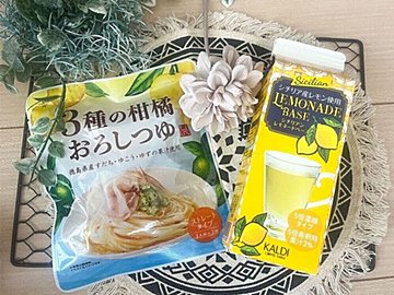 【節約】KALDIで見つけたリピ買い確定の初夏にピッタリさっぱりフード