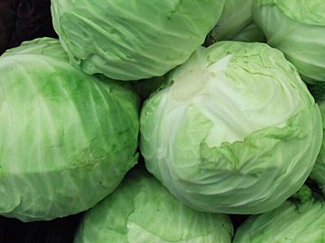 じつは避けたほうがいいかも?野菜のプロが教える冬キャベツの「もったいない」食べ方