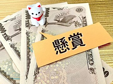 今、当てる人が急増中と話題の懸賞とは!?名物編集者が狙い目の懸賞、当てるコツを解説