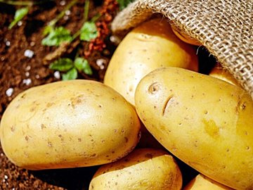 じゃがいもは冷凍できる!食感を悪くしないために必要なコツを野菜ソムリエが解説