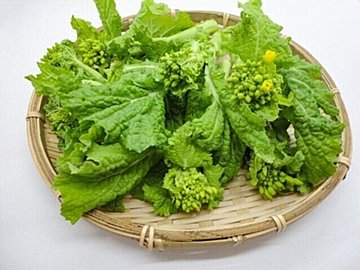 じつは避けたほうがいいかも!?野菜のプロが教える菜の花の「もったいない」食べかた
