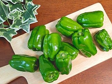 暑さで「疲れがとれない」「イライラしがち」にはピーマン食べて!プロおすすめの食材との組み合わせも