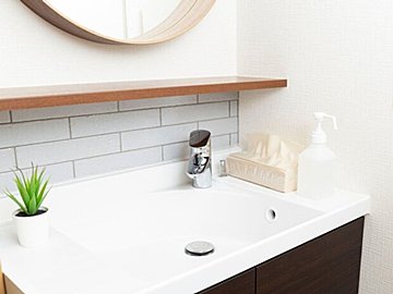 意外なところにシンデレラフィット!もふもふのニャンコがハマったのは色もそっくりな洗面台!?