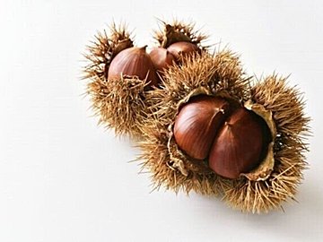 体力アップしたいなら栗食べて!知らなきゃ損な「効果UPの食べ合わせ」をプロが解説