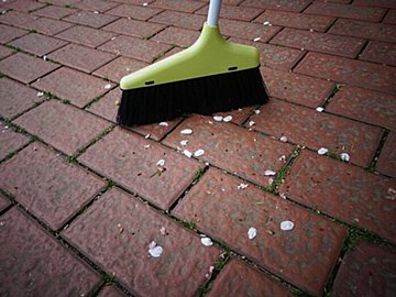 暖かくなる前にやって!「家事の冬じまい」をサボると健康を害する危険も‥!?