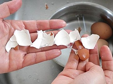 氷も画びょうも要らない!茹で卵の殻をスルッとツルっと剥く裏ワザ
