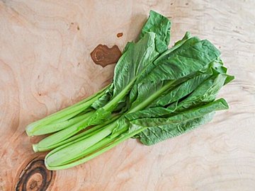 【旬食材】小松菜は立てて保存してね!冷凍保存もできるよ&小松菜ひと袋使い切りレシピ2選
