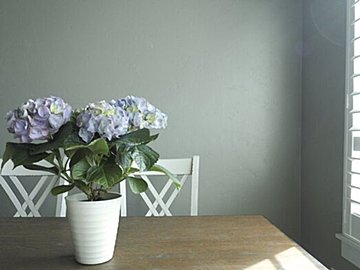 元・汚部屋住人が教える！梅雨でもゴキブリを防ぐ「3つの習慣」