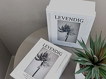 見つけたら即買い！【ダイソー】「めっちゃ可愛い」「すごいの発見！」SNSで話題の人気商品7選