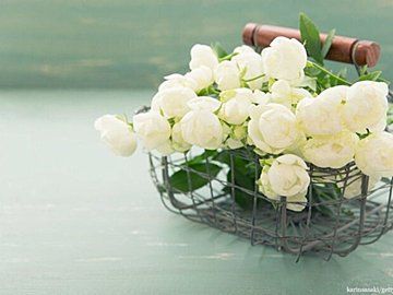 人生模様をたっぷりと見てきたスナックの紫乃ママ伝授！お金以外に大事な資産とは