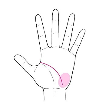 3秒でわかる手相術！スピリチュアルは手に現れる!?「勘」が良い人に出る線とは！