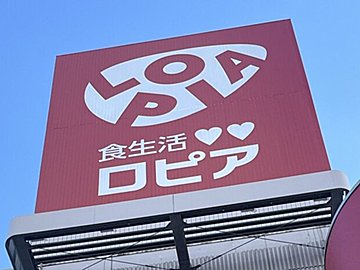 「肉食べたい」を満たす！ボリューム満点なロピア絶品総菜3選